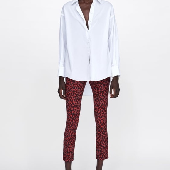 Zara Animal Print Pants - Picture 8 of 8
